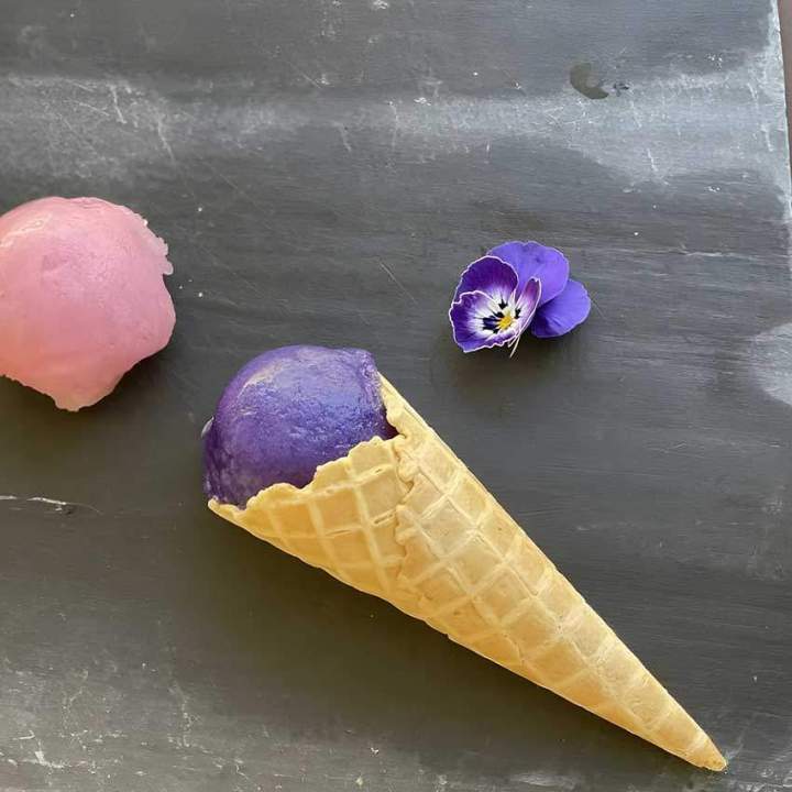 Des glaces et sorbets aux parfums variés.